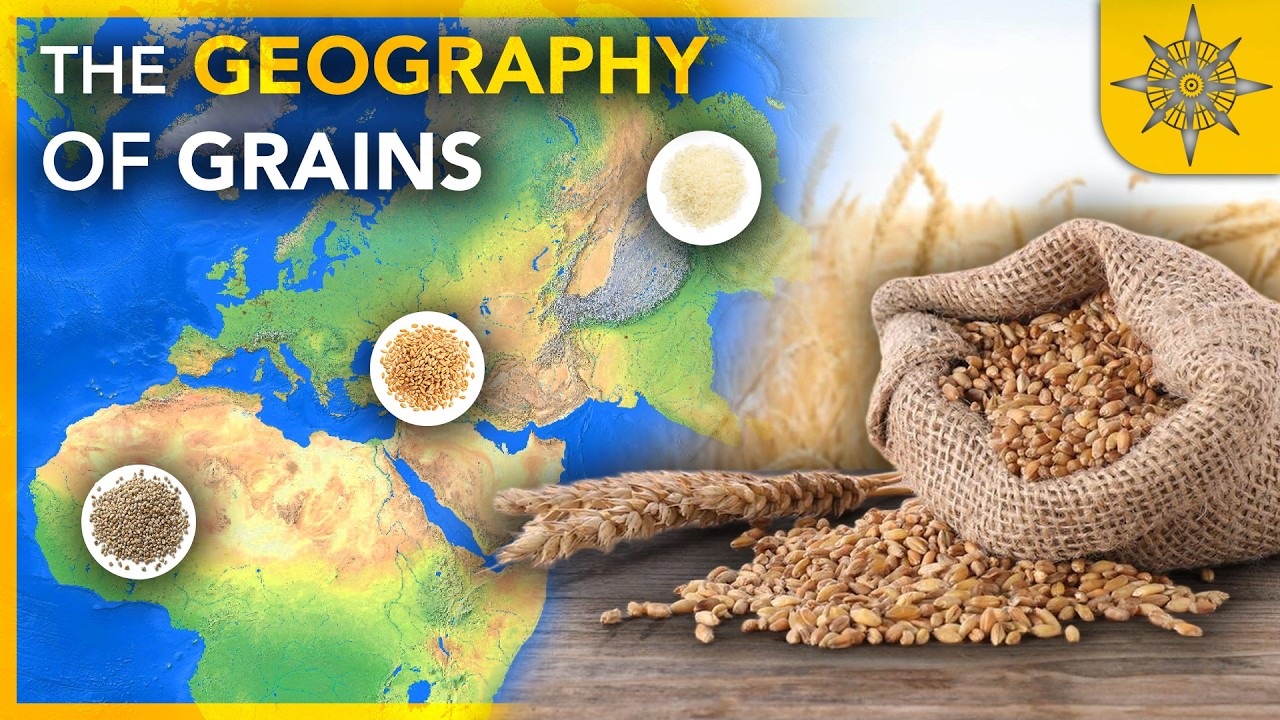 The GEOGRAPHY of Grains
