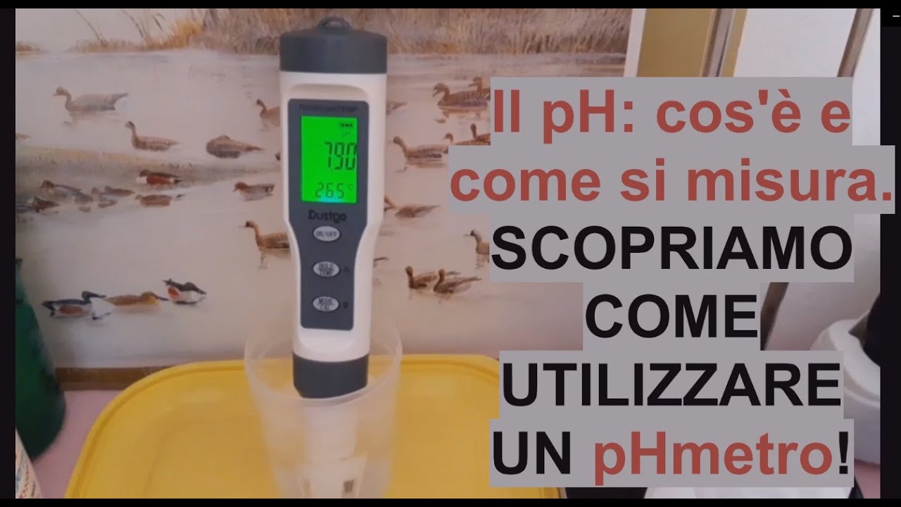 Cos'è il pH e come si misura: usiamo il pHmetro! - W&A Gardens: giardinaggio ed orticoltura