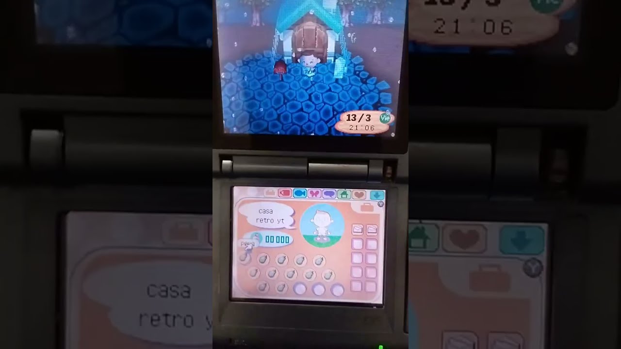 Animal Crossing Wild World Cap#7 en directo!!