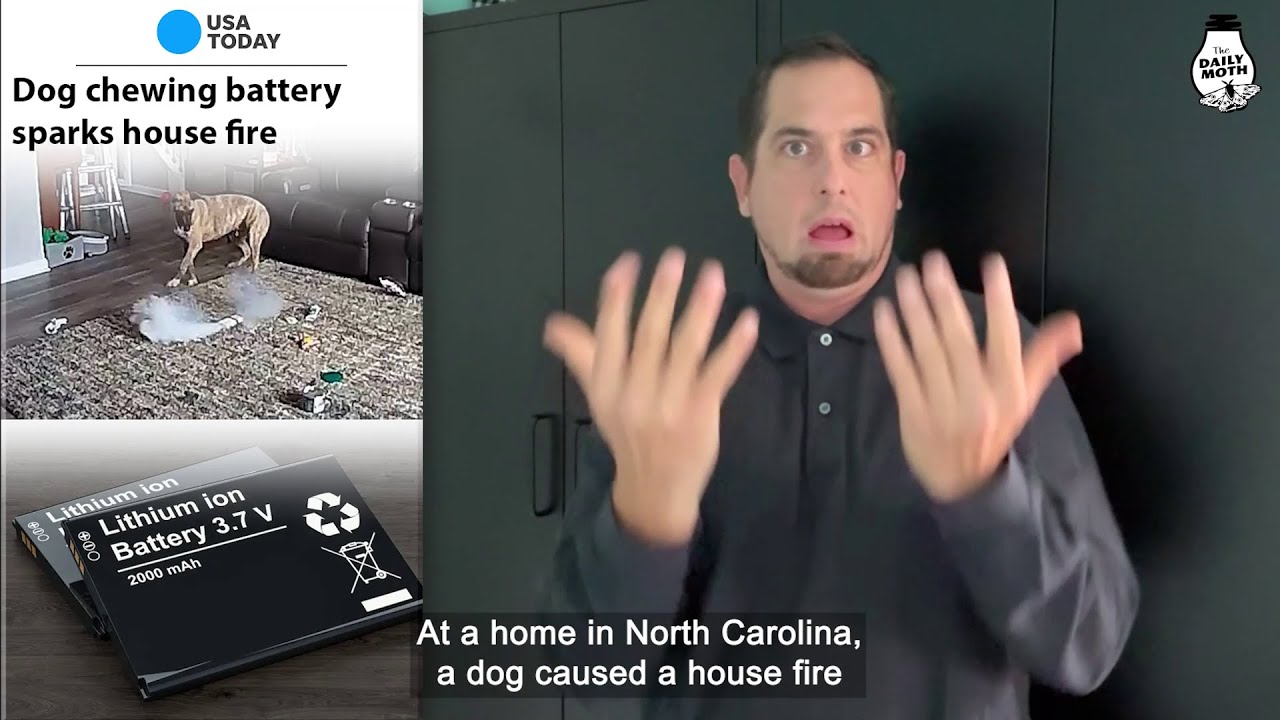 Preview of October 17 | Top Stories (Dog chewing battery sparks house fire)