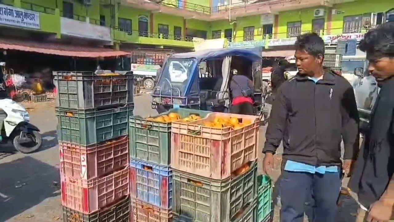 मौसम अनुकूल हुँदा सुन्तलाको उत्पादन र बजार दुवै उत्साहजनक