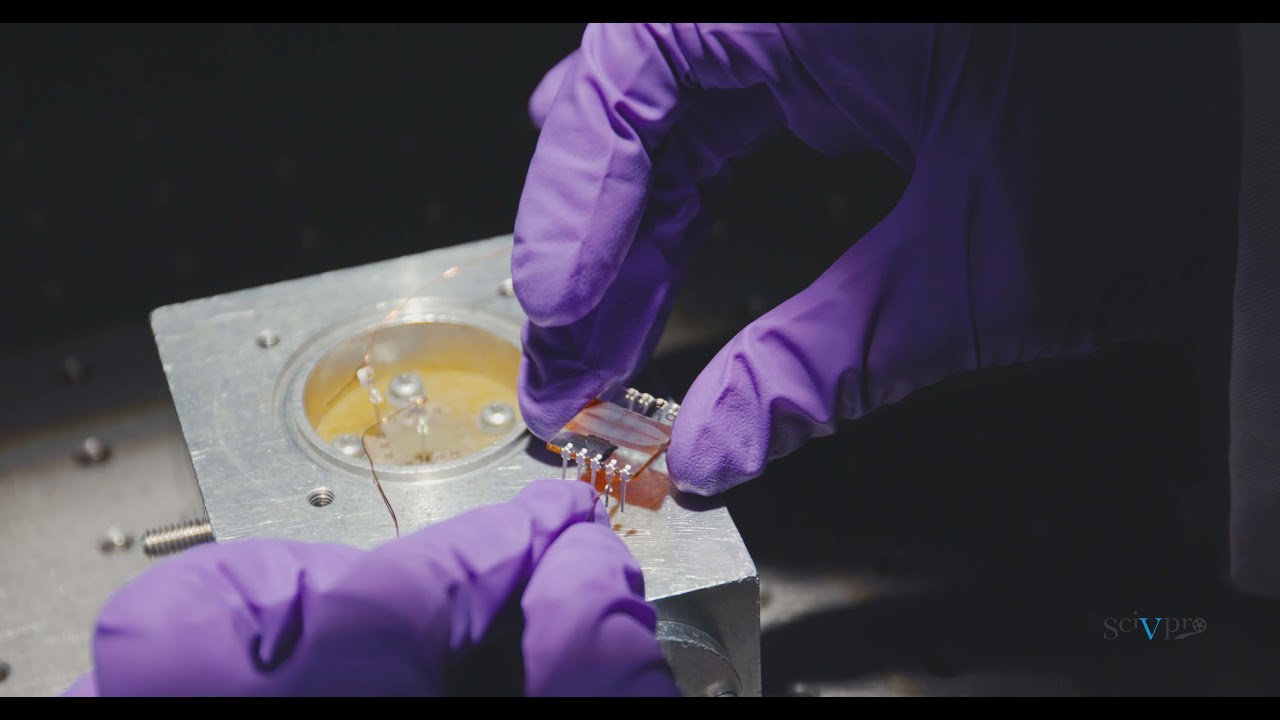 Back-Contact Perovskite Solar Cells | Prof. Sir Richard Friend et al. (University of Cambridge)