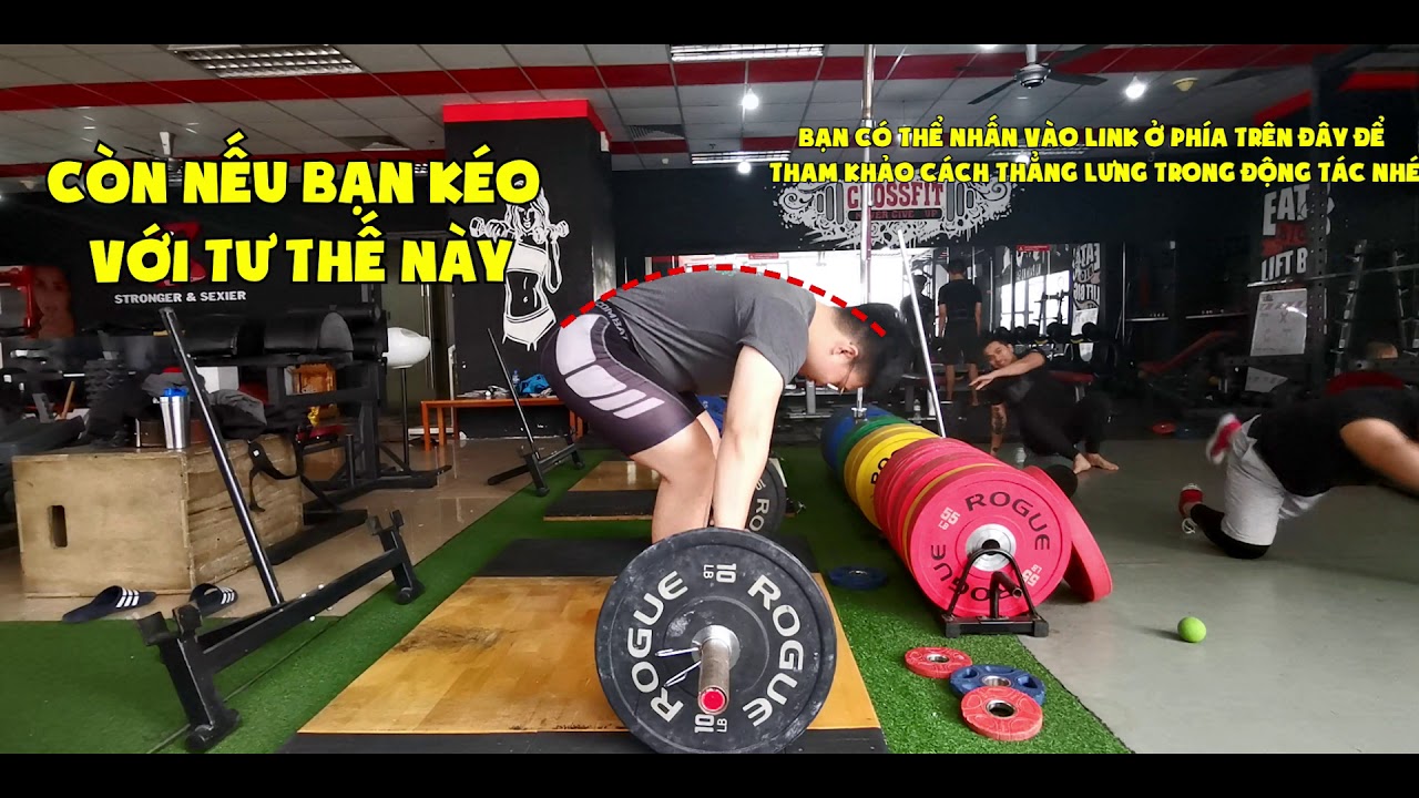 PENDLAY ROW - hướng dẫn tập thể hình cơ bản | SmallGym