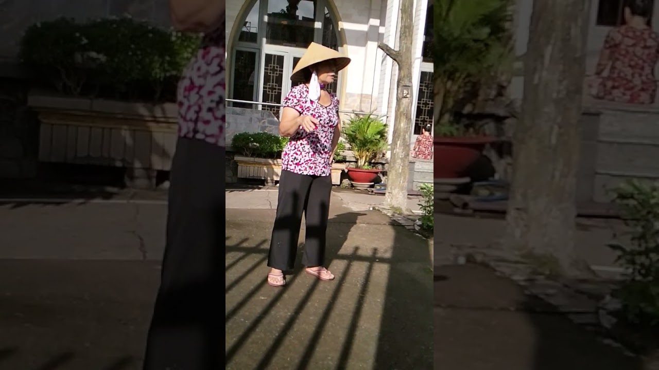 Tựa c&aacute;nh b&egrave;o tr&ocirc;i #quangio #bolerohay