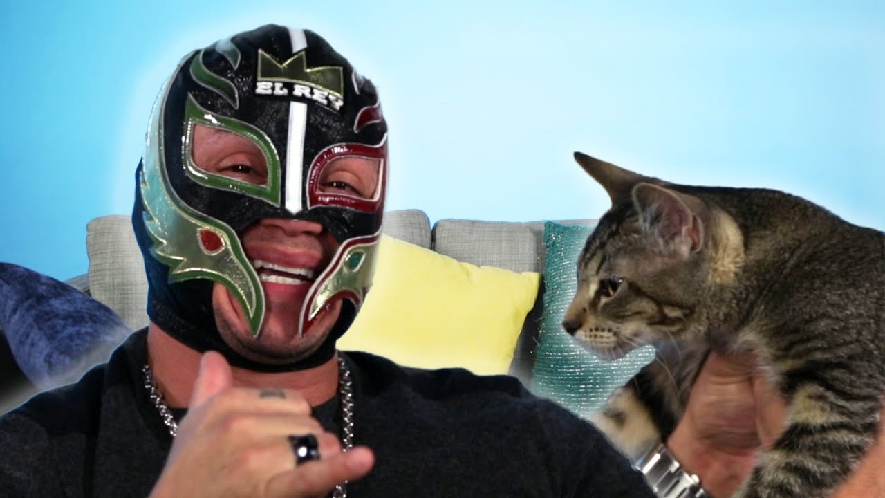 Rey Mysterio Gets Surprised With Rescue Cats