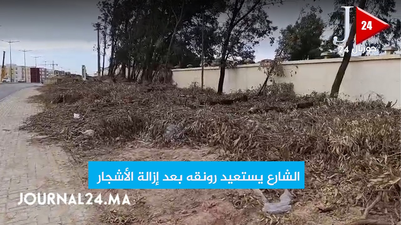 الشارع يستعيد رونقه بعد إزالة الأشجار