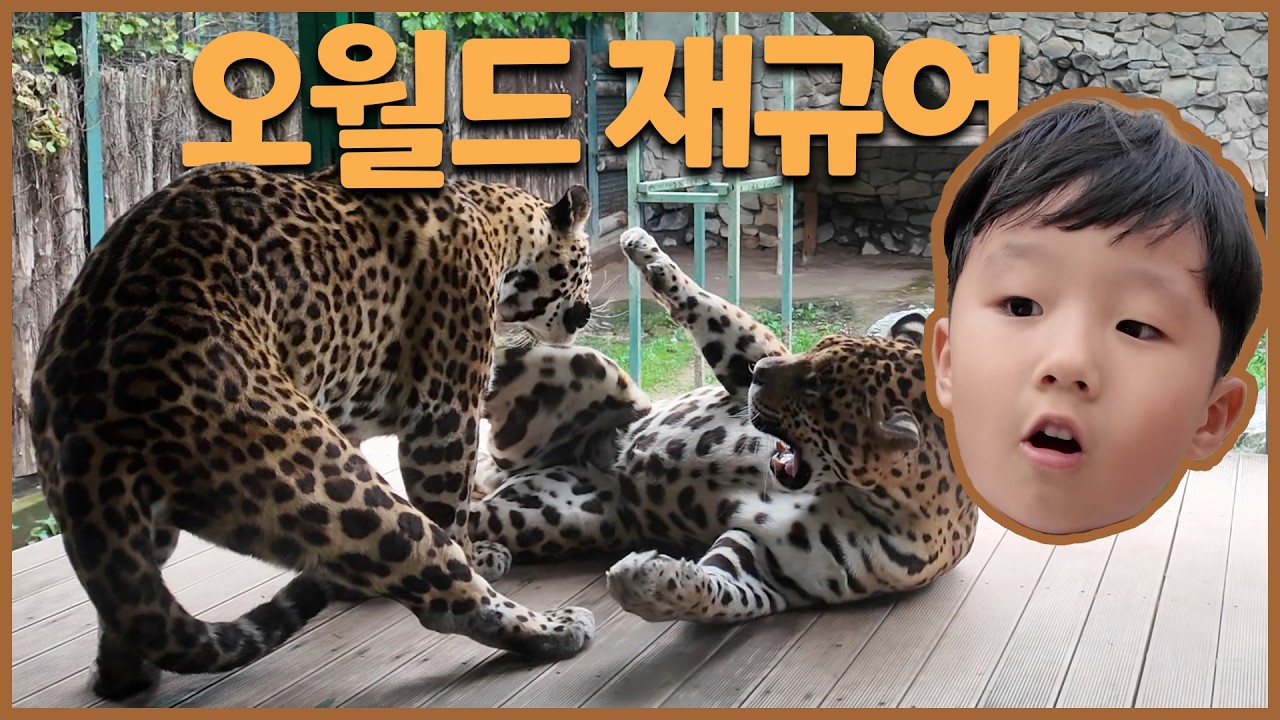 2025.05.17. 오월드