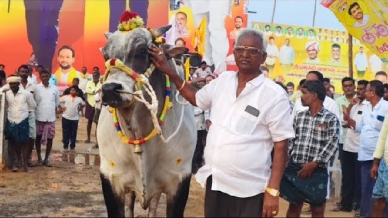 చిలకలూరిపేట జూనియర్ విభాగం 10 వ జత యల్లం సంబసేవరం గారు