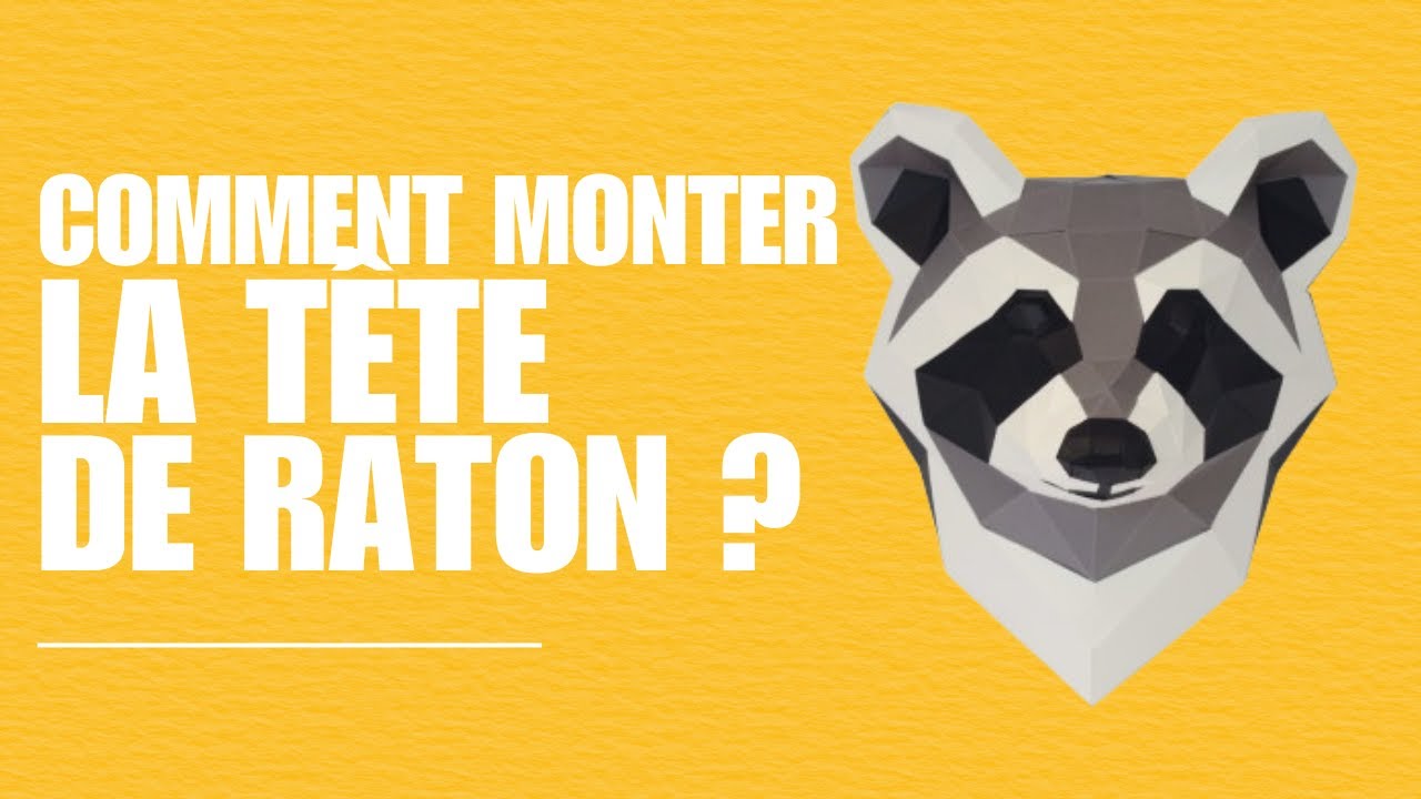 Montage de la tête de raton