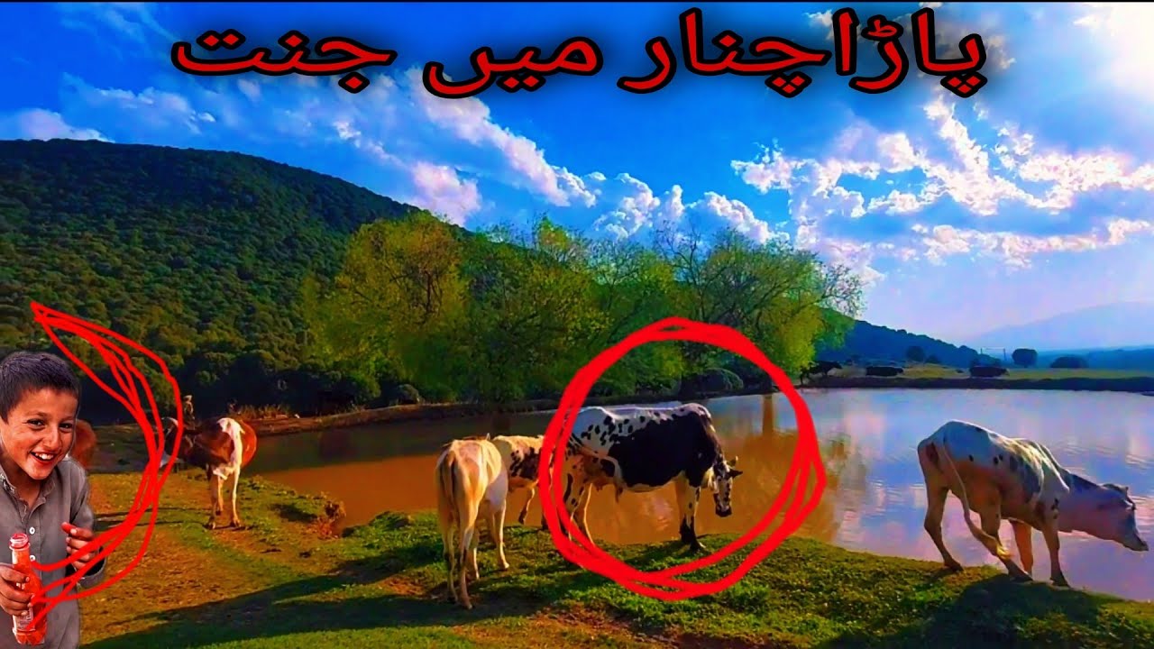 Parachinar mai janat || Amin bangash documentry ||