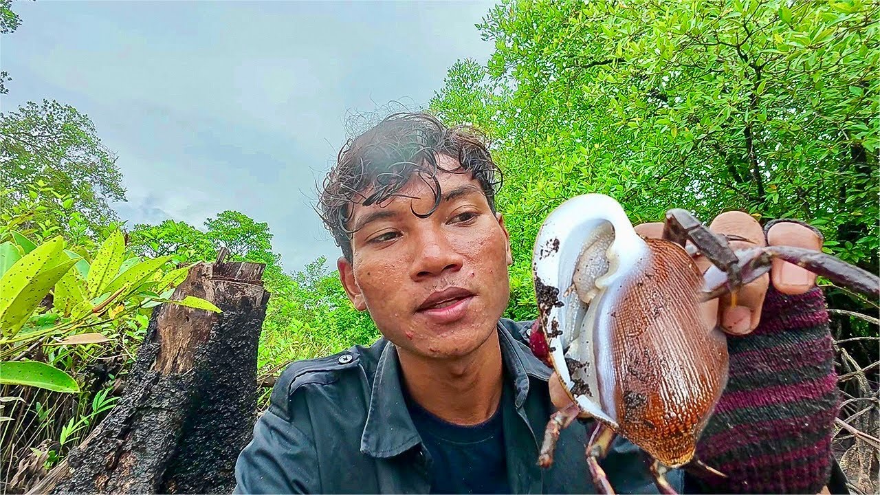 ស្គាល់ខ្យងមាត់វៀចទេ? ចង់ដឹងអត់គេរកបានដោយរបៀបណា?