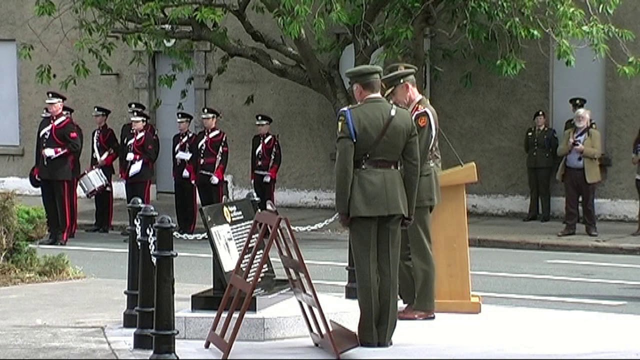 Irish Defence Forces Michael Collins 2013