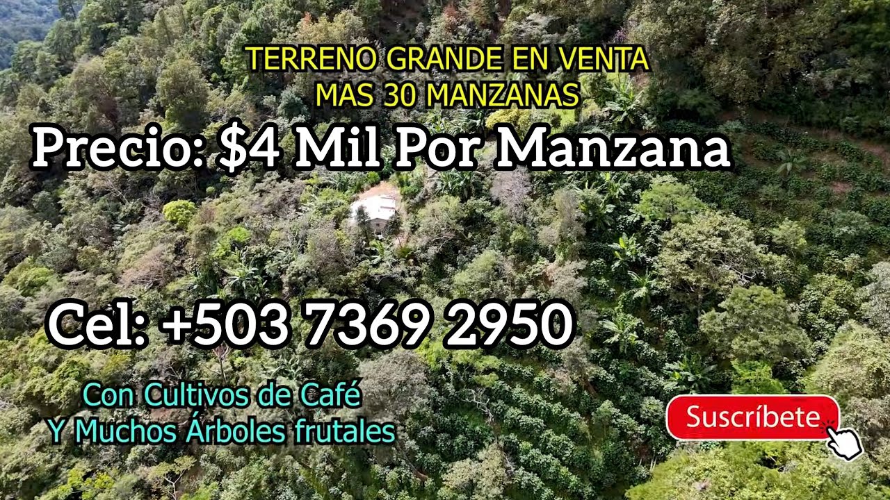 Terreno En Venta de 30 Manzanas en Chalatenango, Precio $4 mil Manzana, Cel: +503 7369 2950.