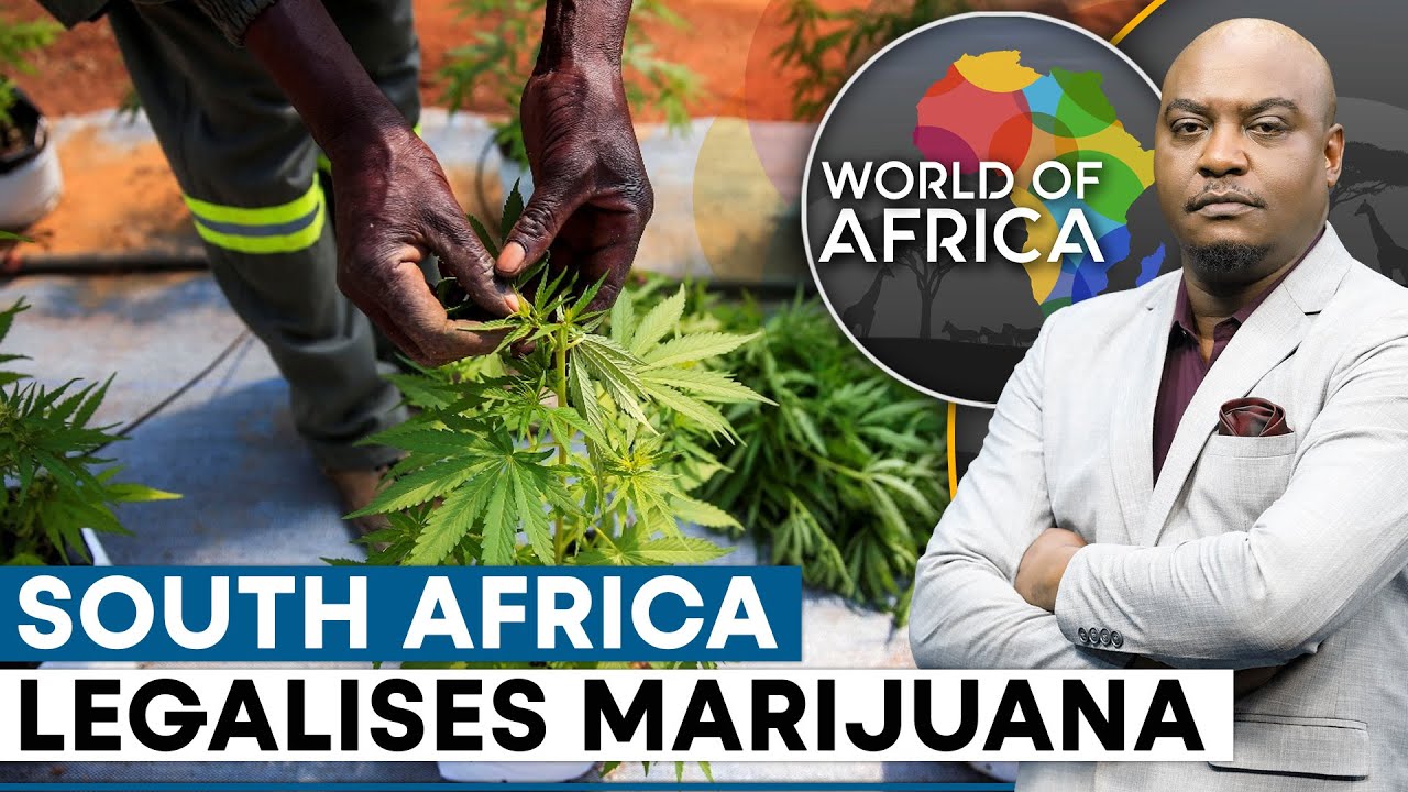 South Africa becomes first African nation to allow Marijuana use | World Of Africa