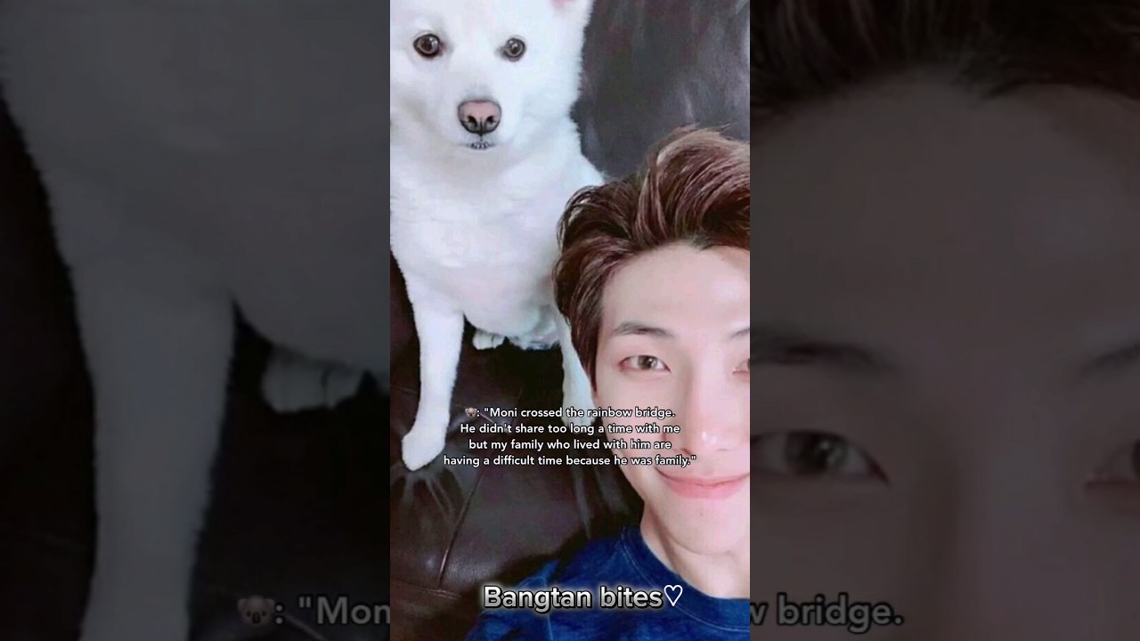Rapmon crossed the rainbow bridge😭😭 | Namjoon dog #bts #btsarmy #rm #namjoon #rapmon