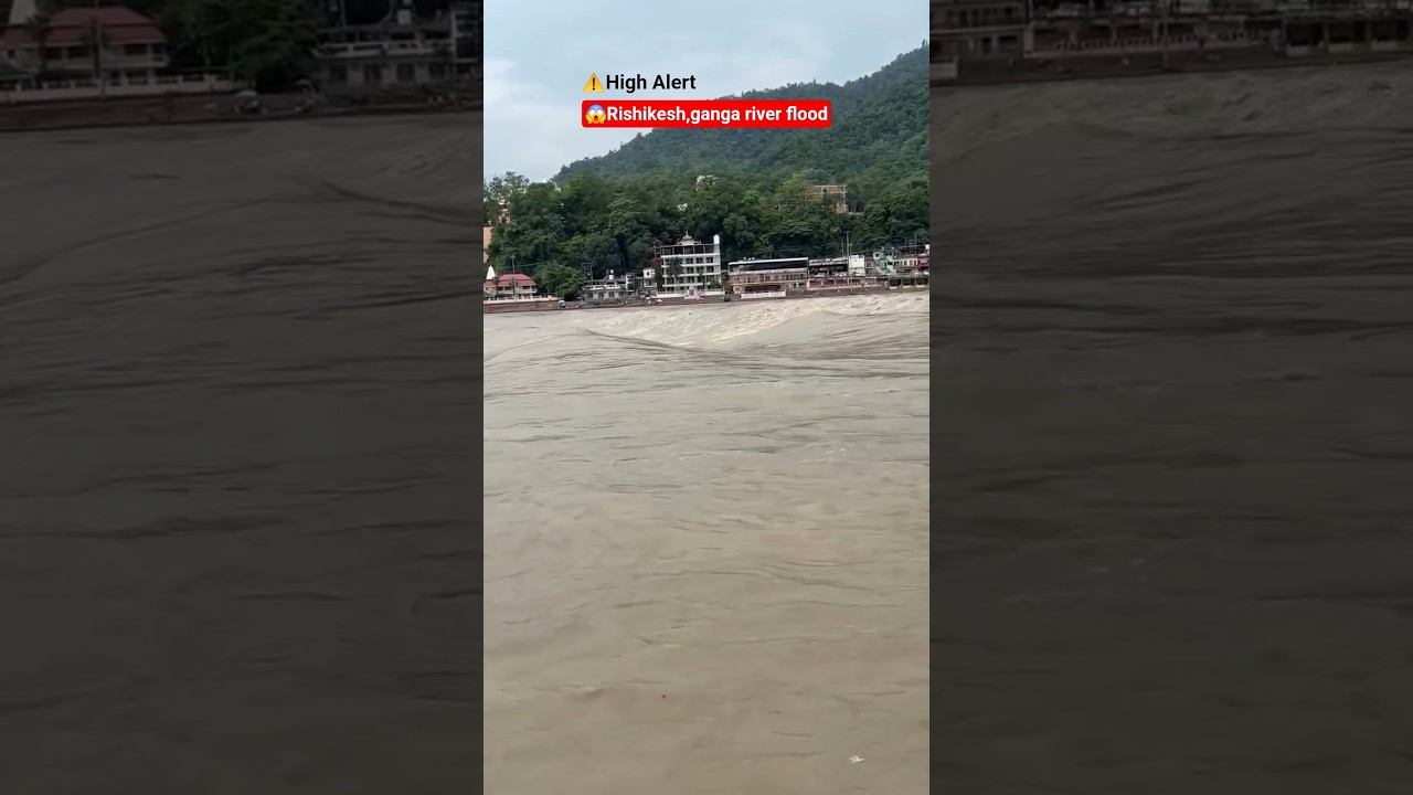 😱Rishikesh,ganga river flood | 🚨High Alert #rishikesh #gangariver #rishikeshganga #flood #news