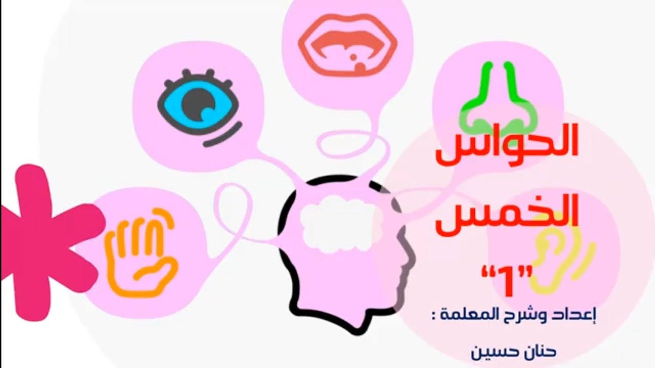الصف الرابع : الحواس الخمس 