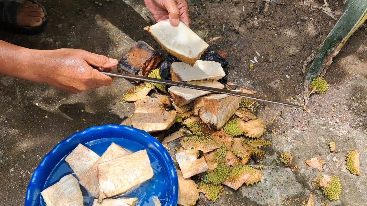 Наш любимый соус из молодого джекфрута в деревне по вкусу напоминает мясо.