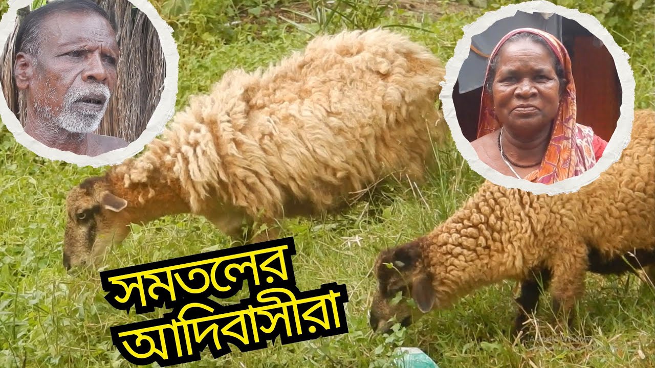কেমন কাটছে আদিবাসী ওরাং (ওঁরাও) এবং পাহাড়িকা সম্প্রদায়ের জীবন?? সমতলের উপজাতী