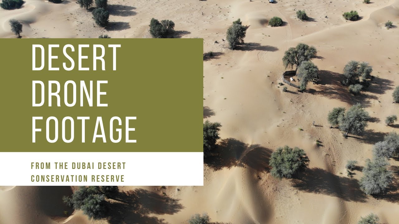 Desert drone footage from the Dubai Desert Conservation Reserve