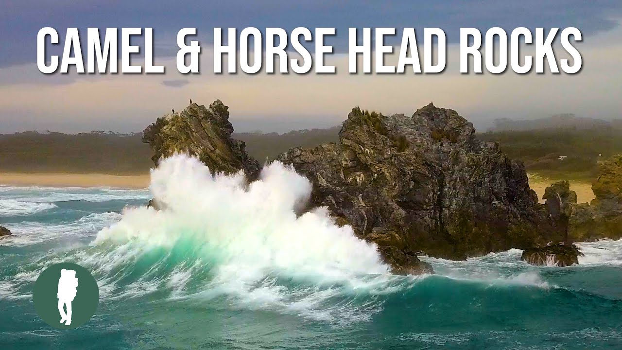 Camel Rock and Horse Head Rock, Bermagui, NSW South Coast, Australia Nature