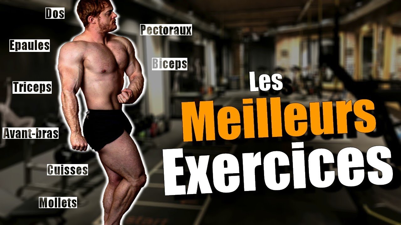 Le MEILLEUR exercice pour CHAQUE muscle !