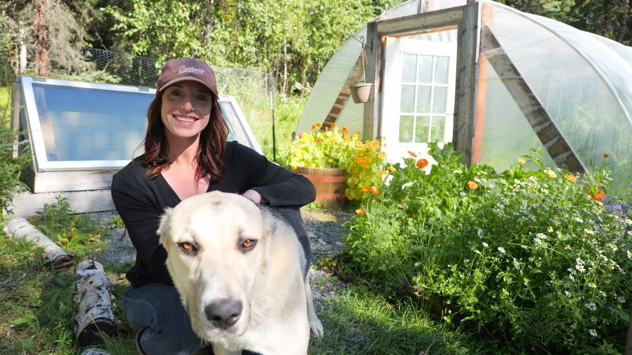Homestead Protection in Remote Alaska | Adopting a Guardian Dog
