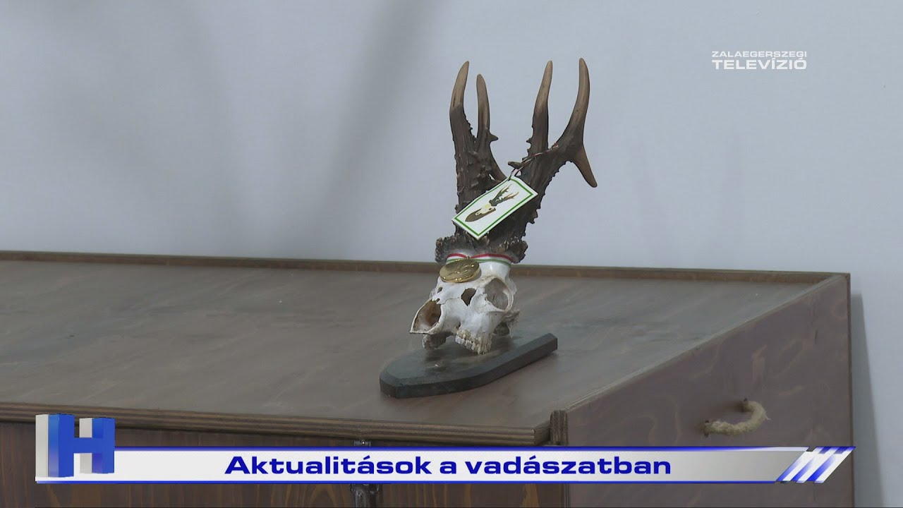 Aktualitások a vadászatban – ZTV Híradó 2026-02-05