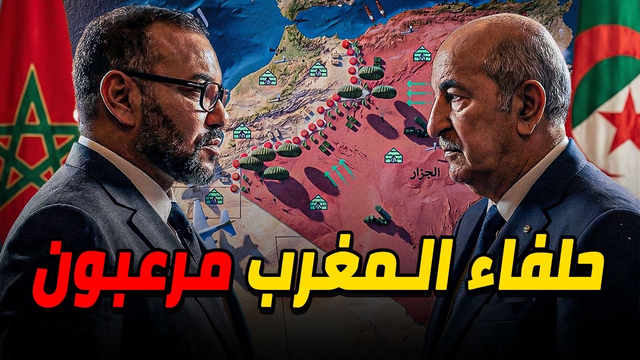 من هم حلفاء المغرب في حرب ضد الجزائر 💪 و ما يمكنهم فعله ؟