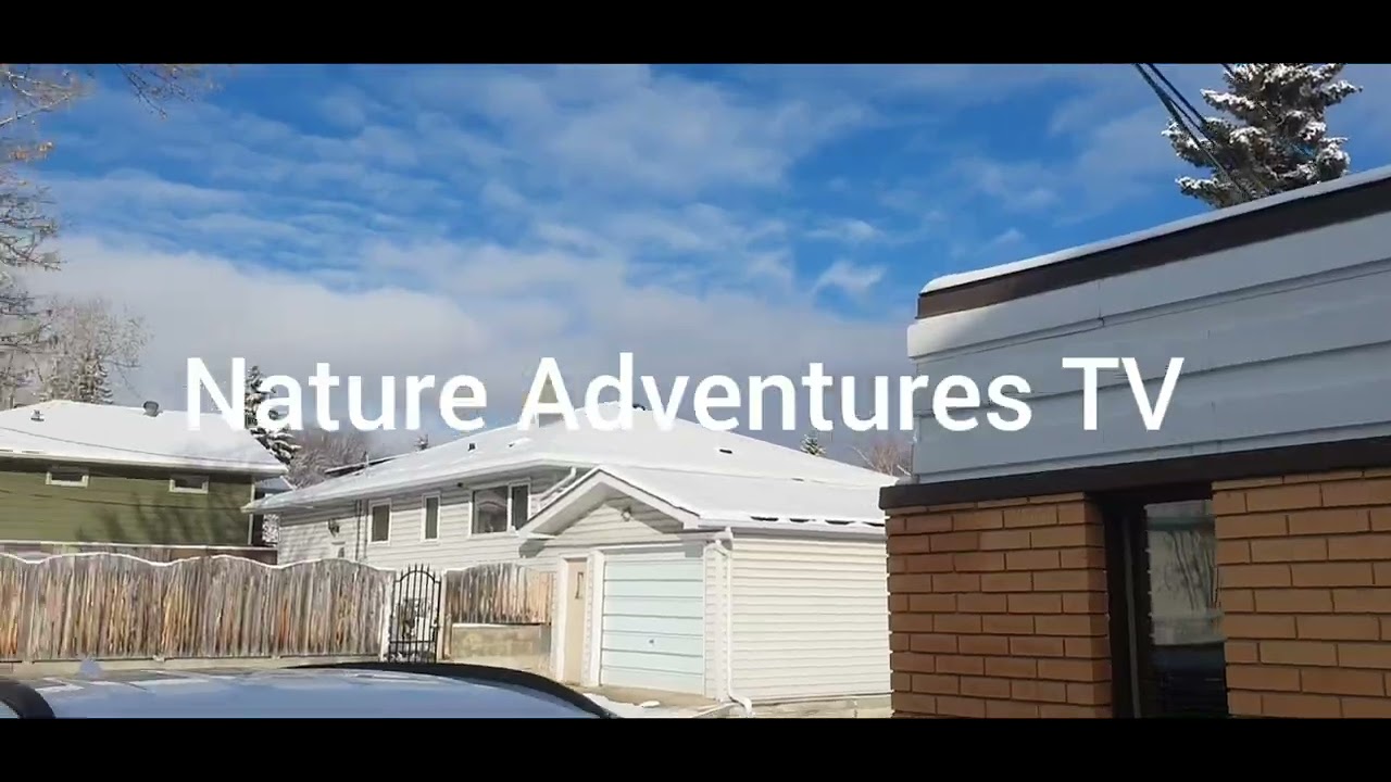 WINTER | SEASON ! WEATHER #winter #viralvideo #nature #natureadventures #tv