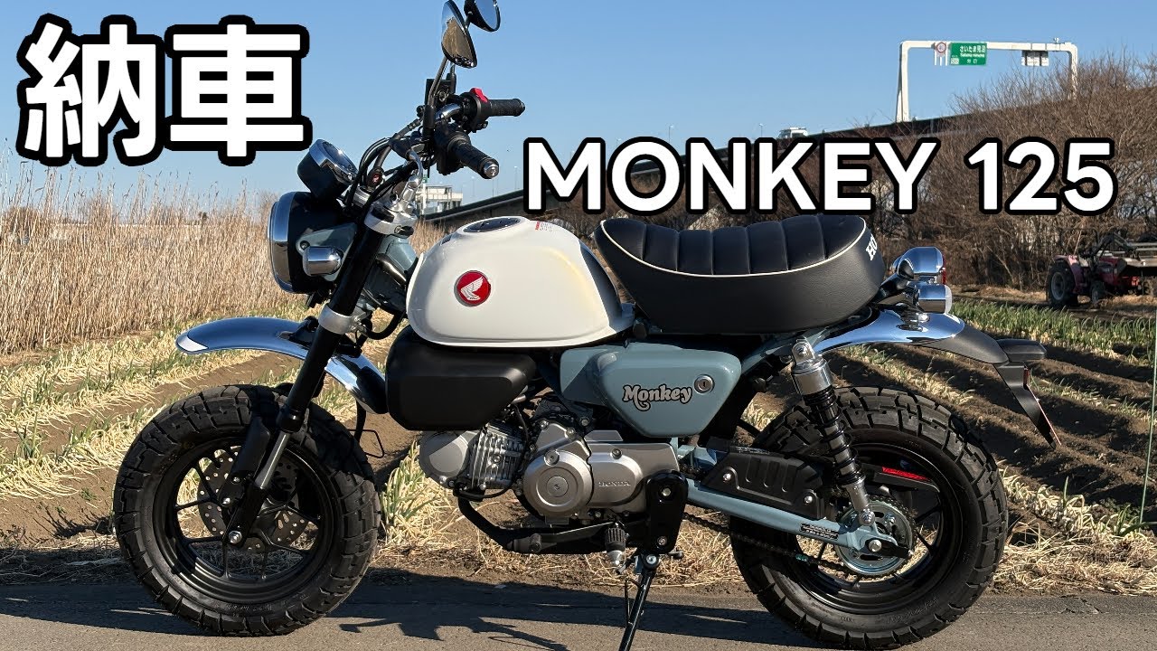 Почему я выбрал Monkey 125? (Водитель Harley)
