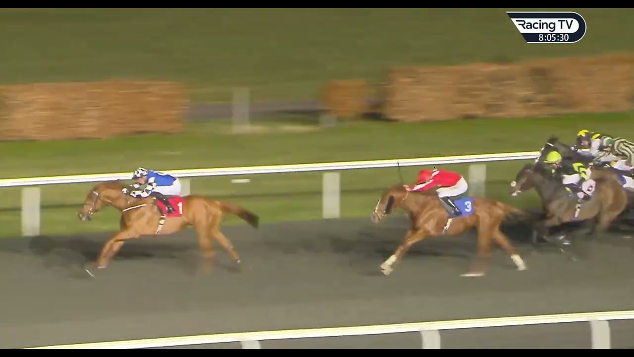 2023 02 /8/R6/James Doyle/Earl of Tyrone/Age5/Sire/Australia/T.William Haggas@ Kempton Park