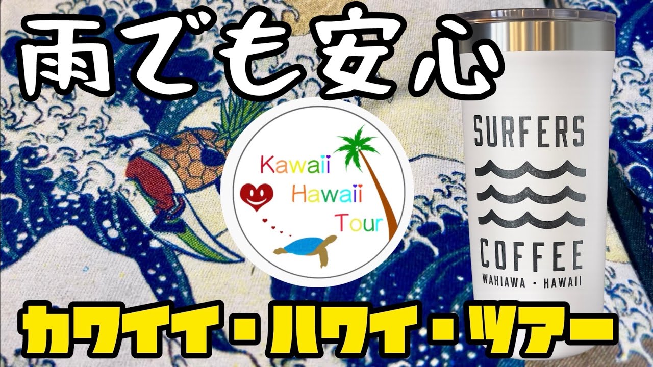 【ハワイ強風】雨でも安心！子連れ・初ハワイOKの完全どこでもプライベートツアー