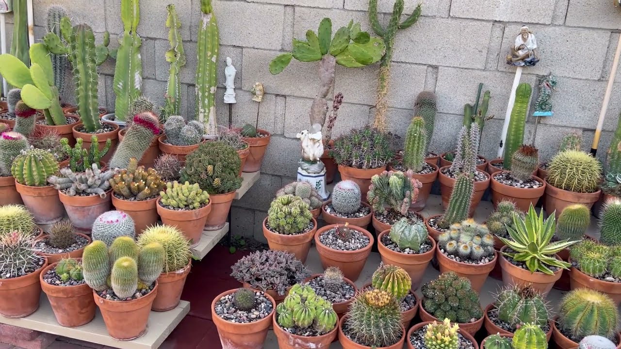 Kay's Garden Tour -  May 2021