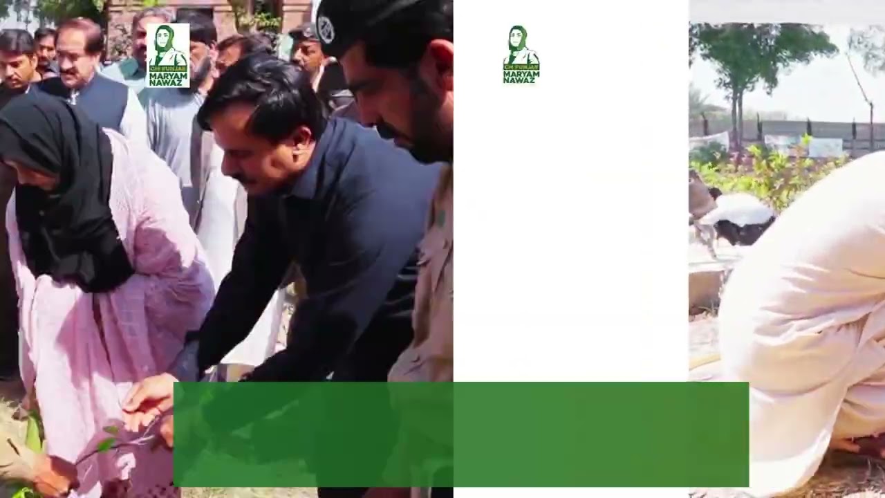 Spring Tree Plantation Campaign in DG Khan | Usman Khalid Plants Trees at Daanish School | FW&F