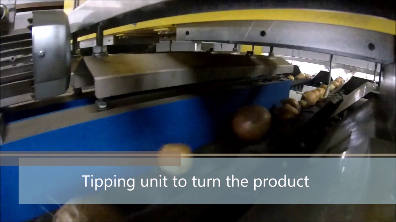 Optical Grader