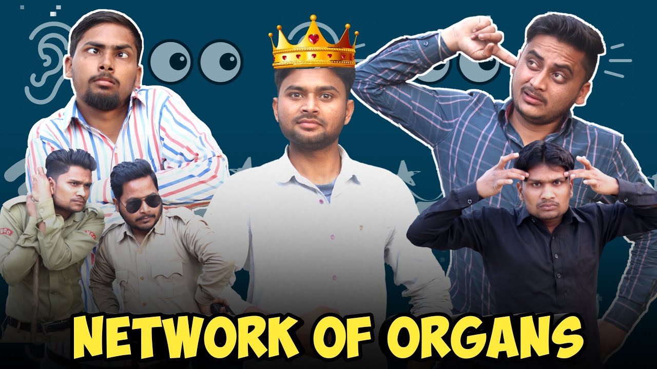 NETWORK OF ORGANS || THE FUNDOZE ||TFD VIDEOS