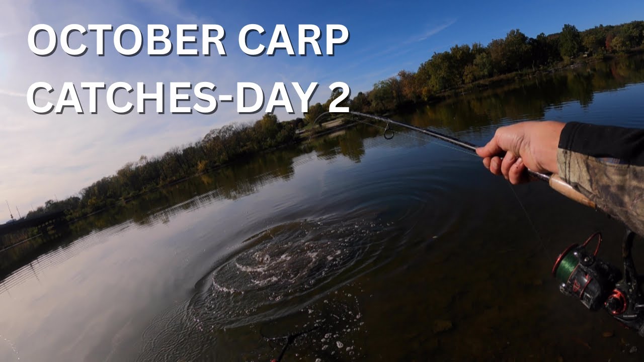 October Carp Catches-Day 2