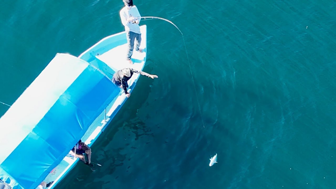 FISHING THROUGH ACRES OF JUMPING FISH
