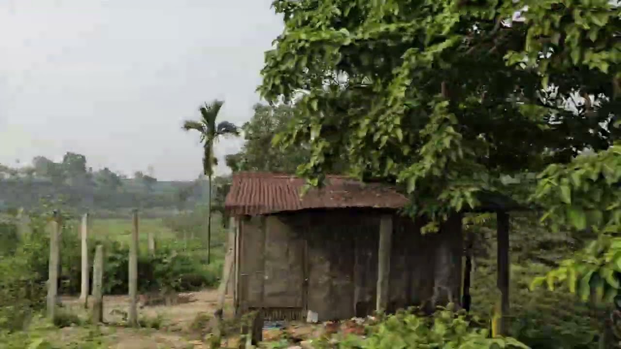 Sylhet To Jaflong Road View. Beautiful Road View Of Sylhet