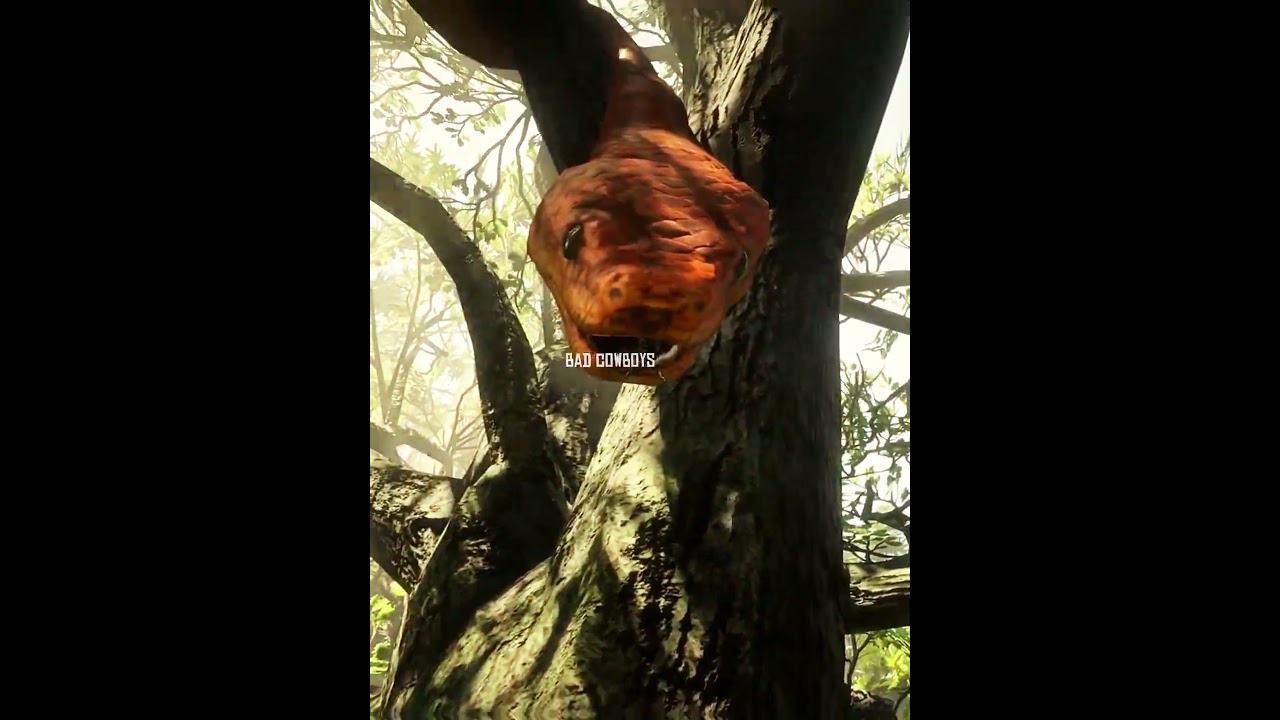 Rdr2's legendary animals in real life 🙊