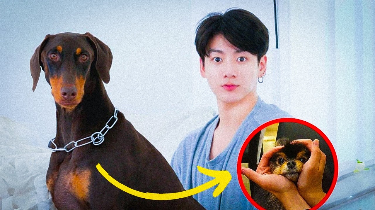 Esto pasa cuando BTS se encuentra con Animales 🥰 BTS y sus Mascotas | bts en television