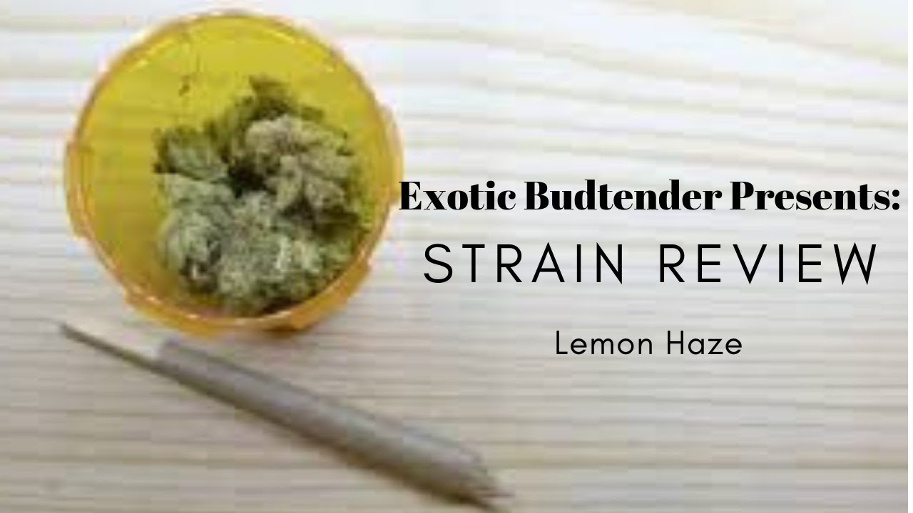 Exotic Budtender Strain Review: Super Lemon Haze