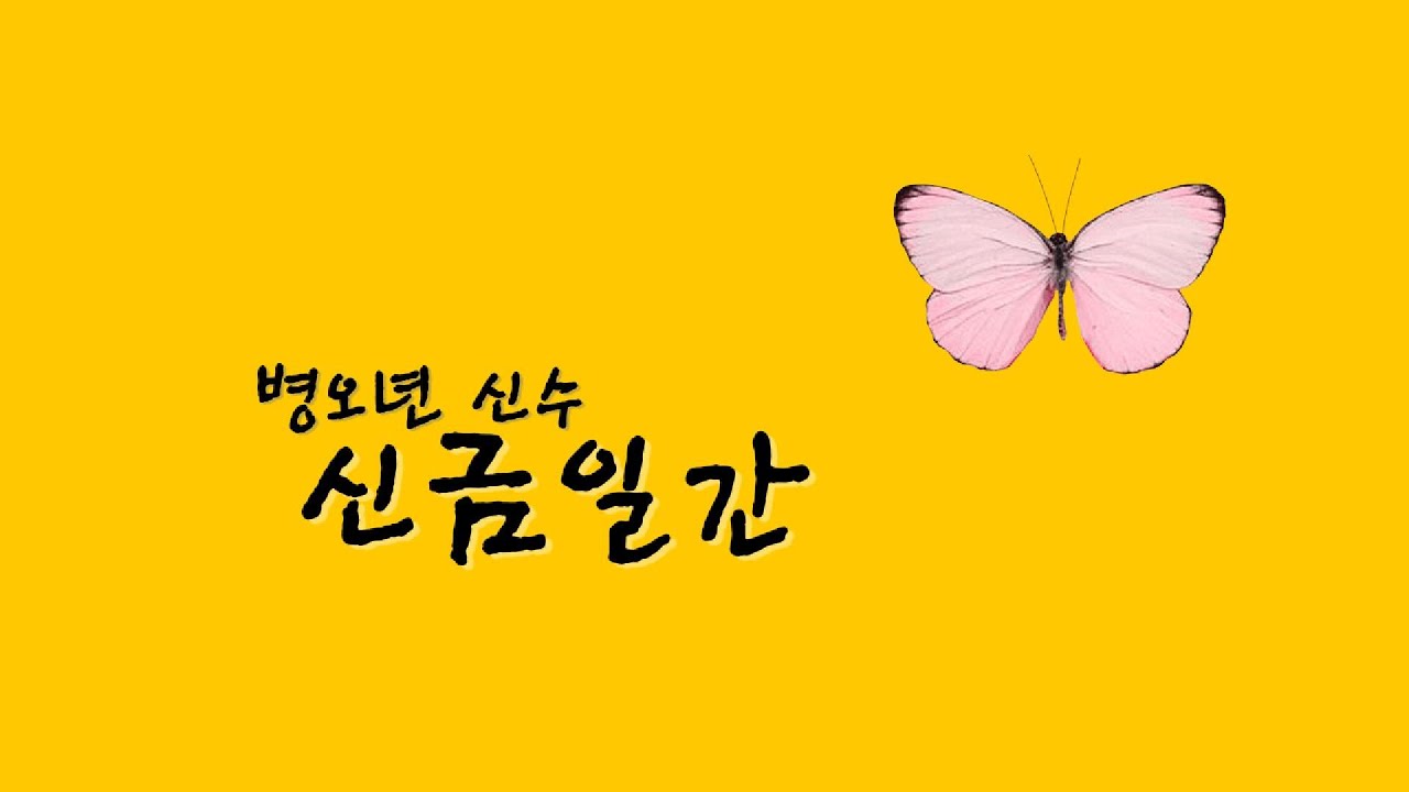 병오년 신수  신금