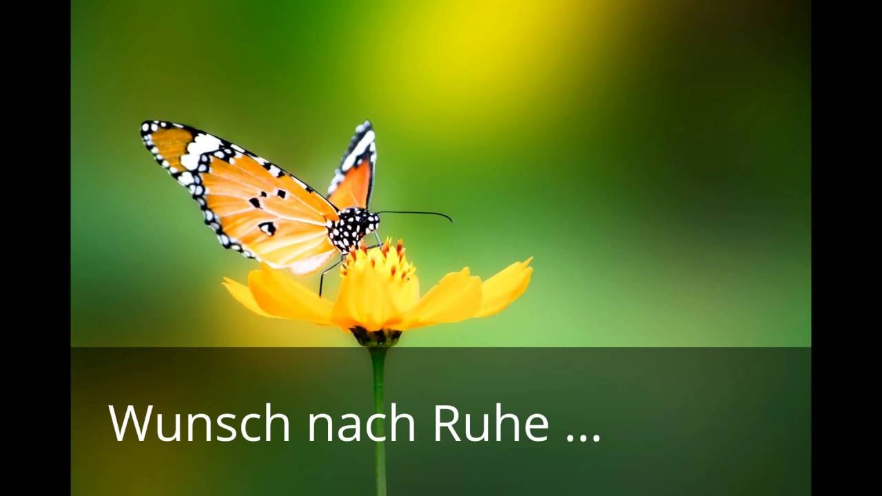 Einzelcoaching