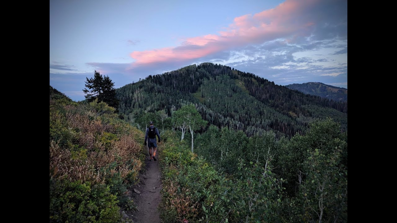 Tony's Journey - The Wasatch 100