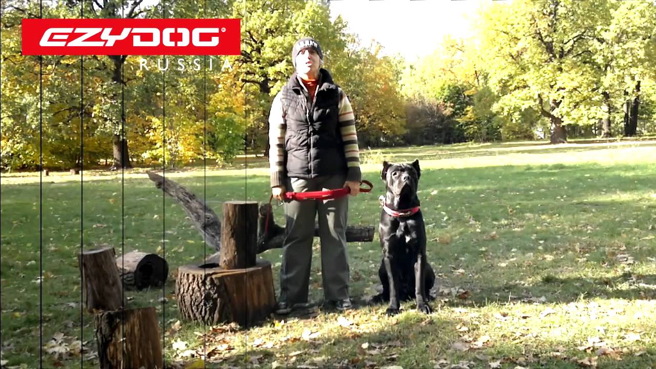 EzyDog | Перестежка Vario 6