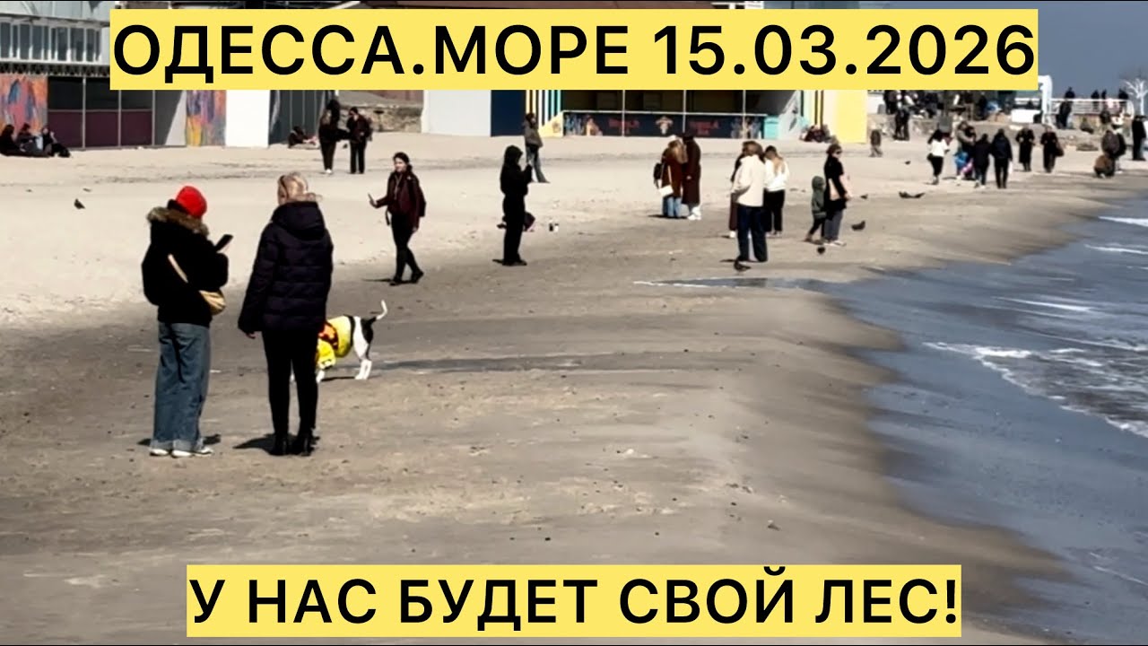 ✅ОДЕССА.МОРЕ.У НАС БУДЕТ СВОЙ ЛЕС!!!15.03.2026