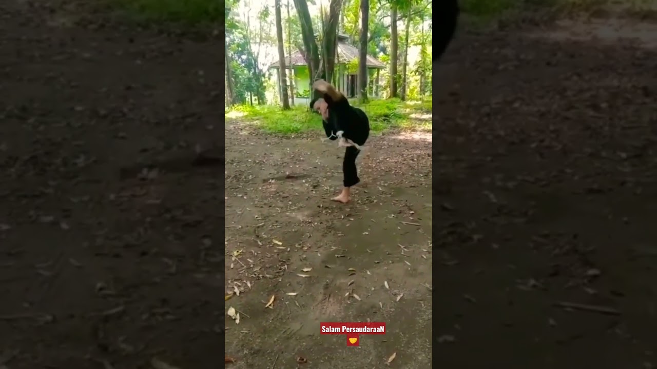 Salam PersaudaraaN #shorts #psht #pshtpusatmadiun #pshtindonesia #pshtjaya #shortvideo #short