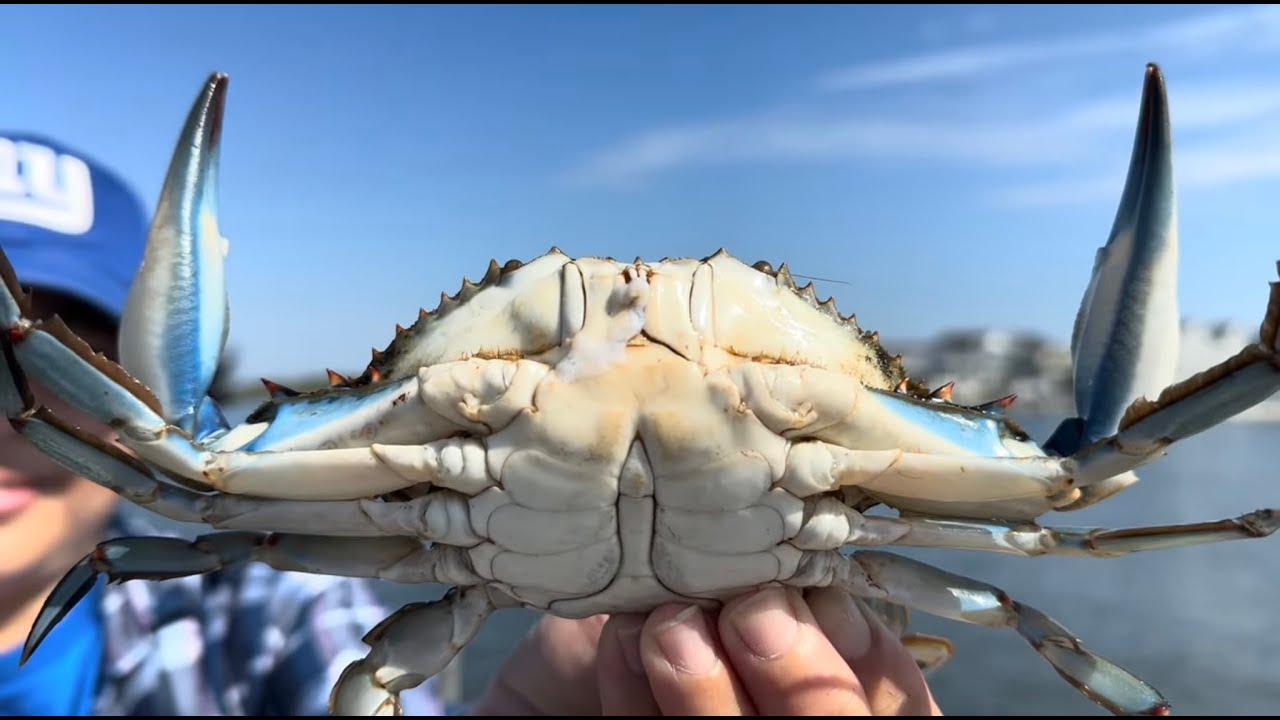 Crabbing in New Jersey ( Seaside Heights )
